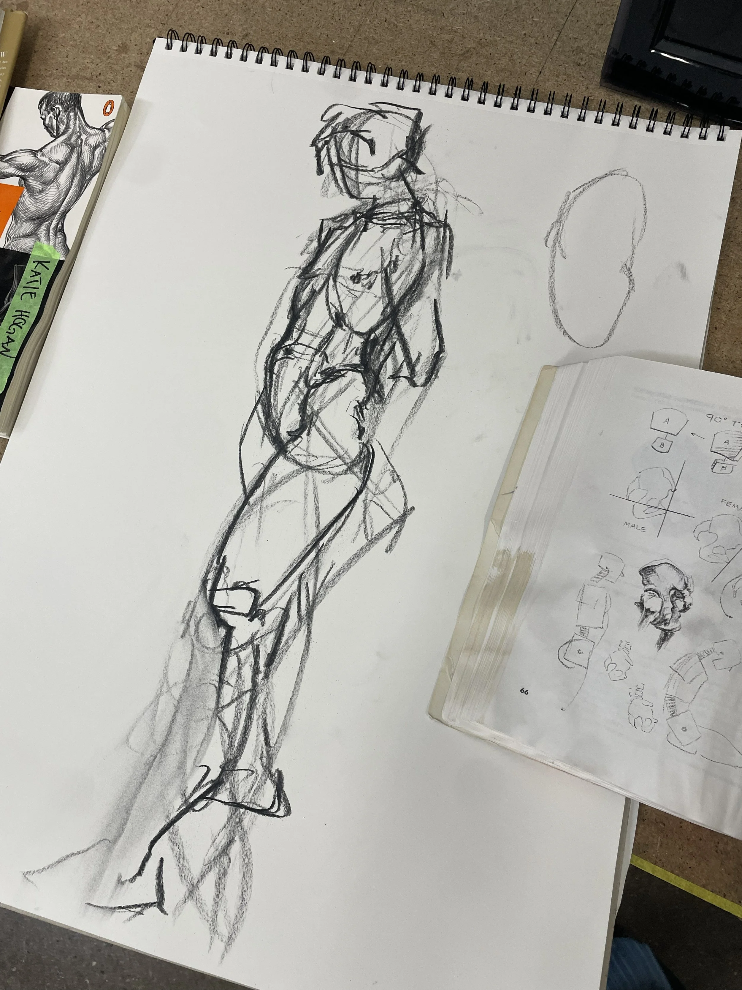 Artistic Anatomy Course