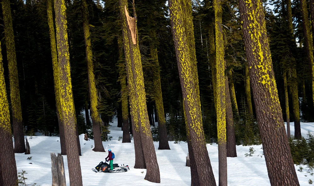 snowmobiling_JAN2012_7276_edit_web1.jpg