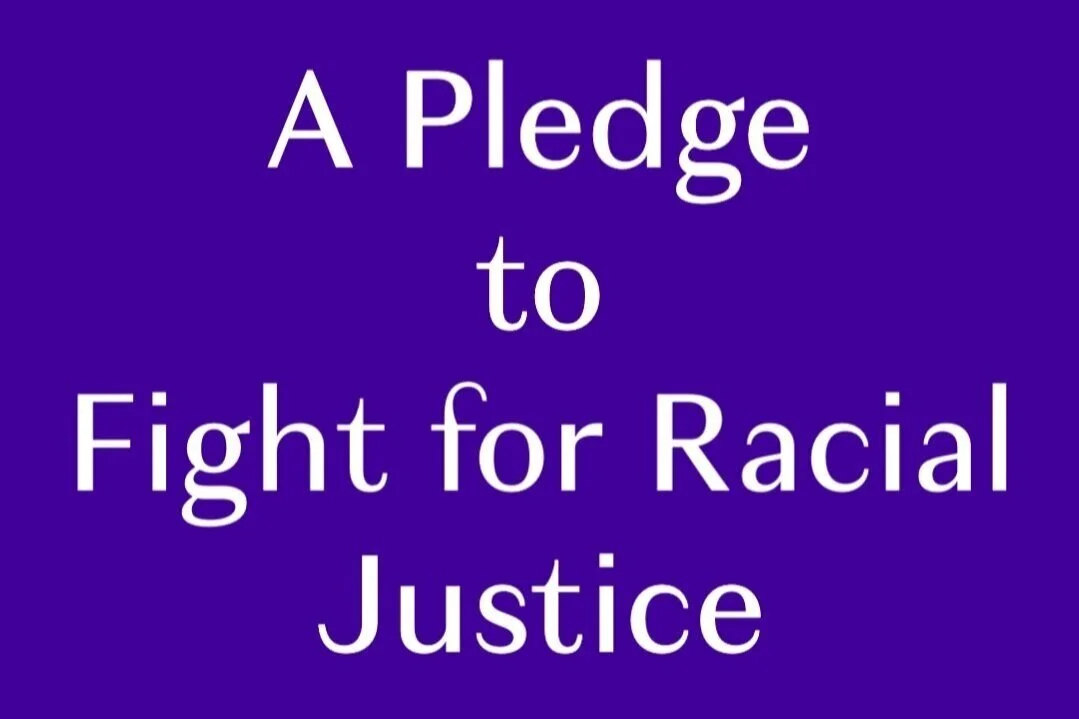 Pledge%252BV2.jpg
