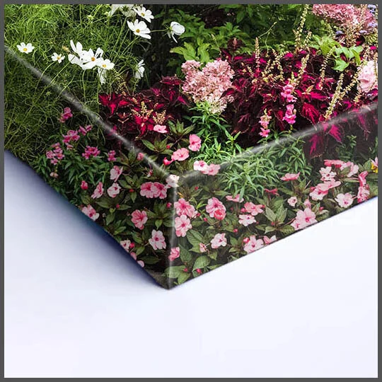 Matte Canvas Prints on Stretchers