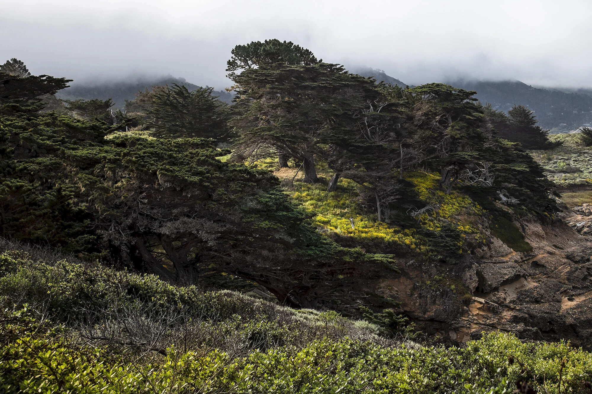 Gallery Frames with Mats