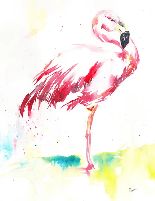 Fancy Flamingo