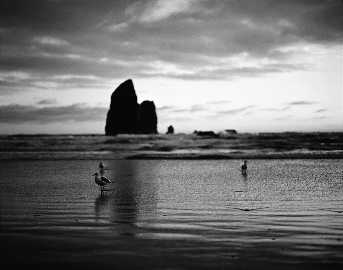 CannonBeach_IMG_0013-smalll.jpg