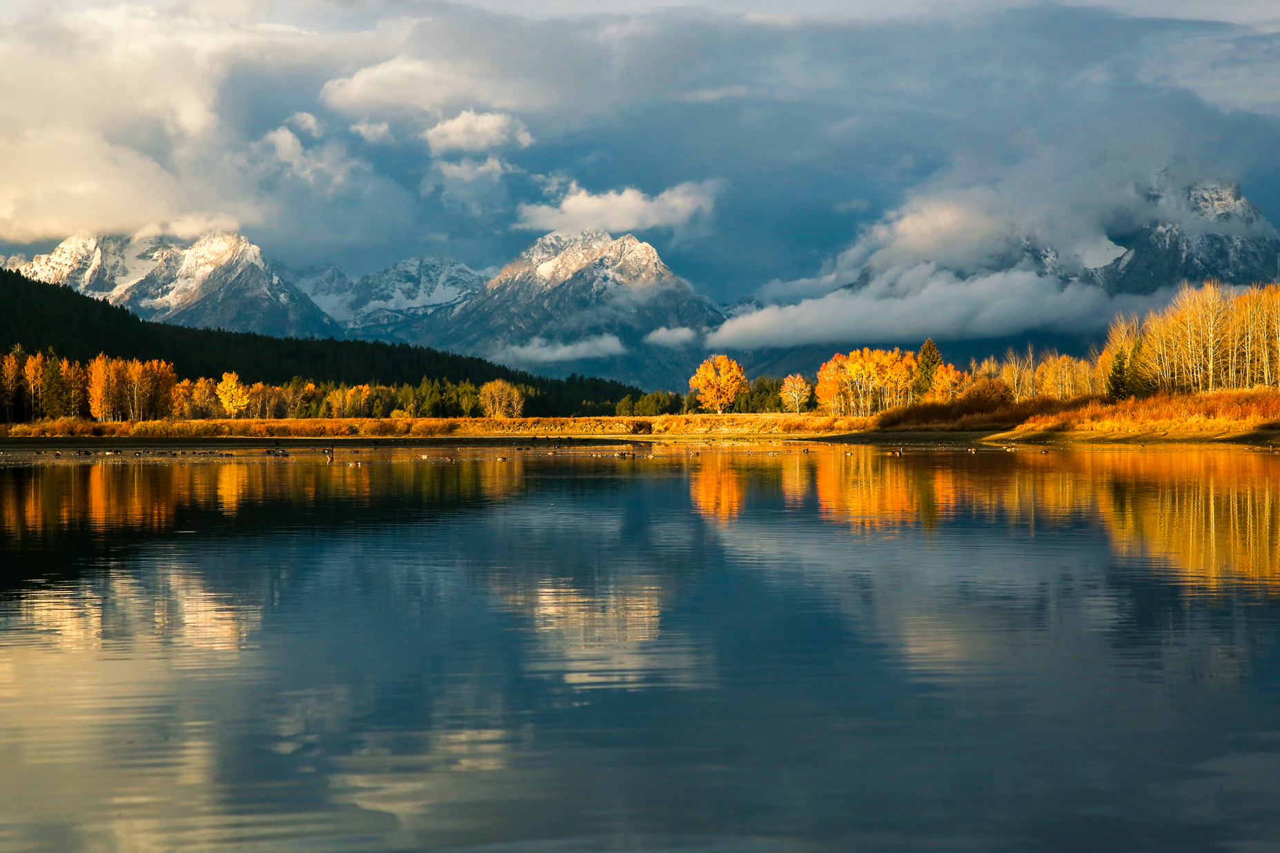 Mt. Moran from Oxbow Bend