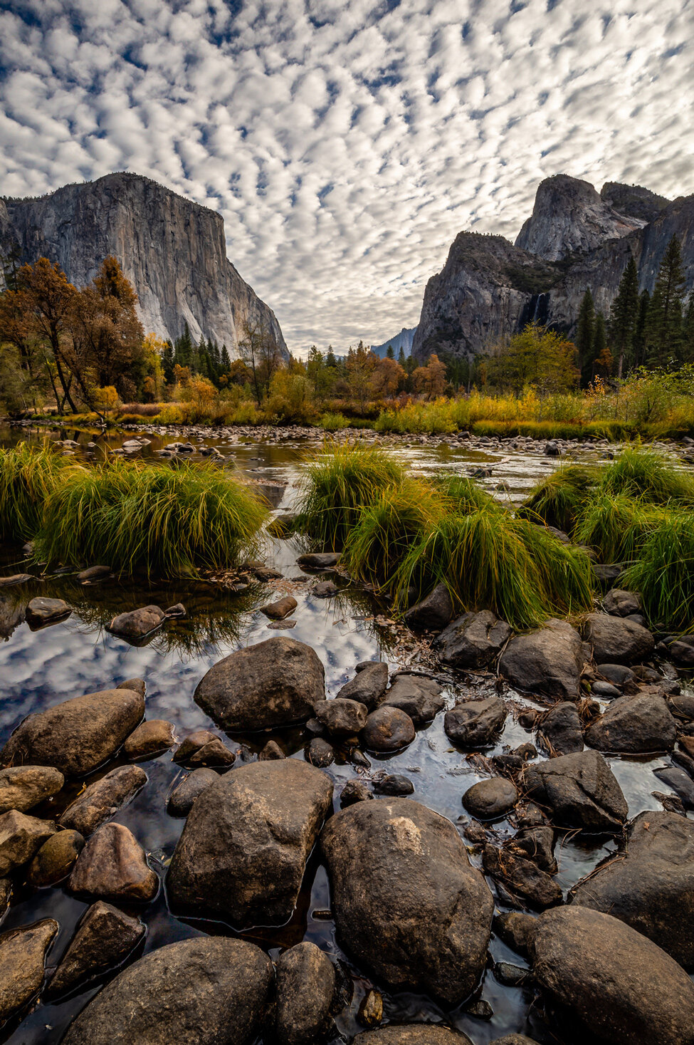 Yosemite Valley Magic