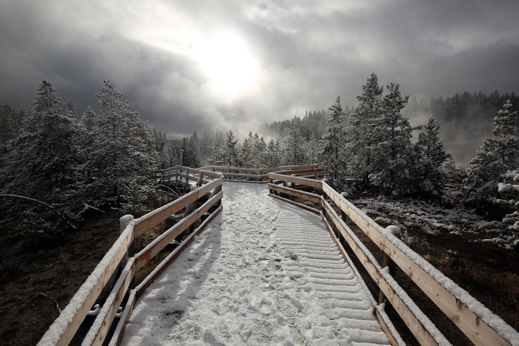 Snowy Yellowstone