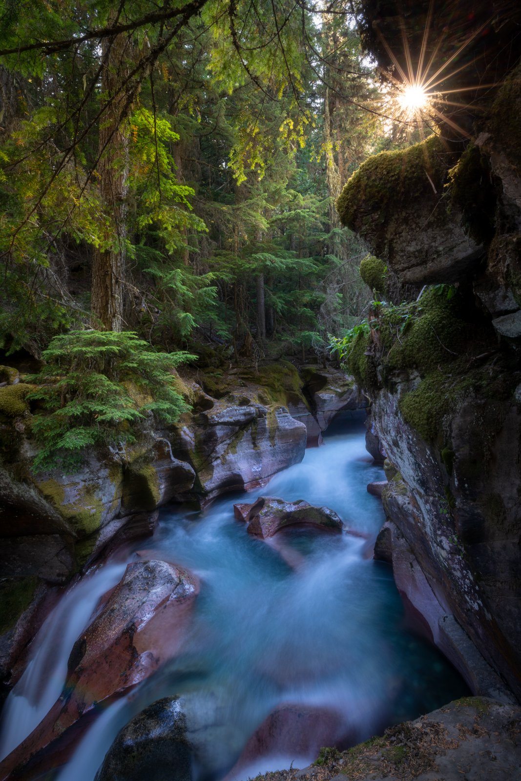 Avalanche Gorge in Glacier National Park