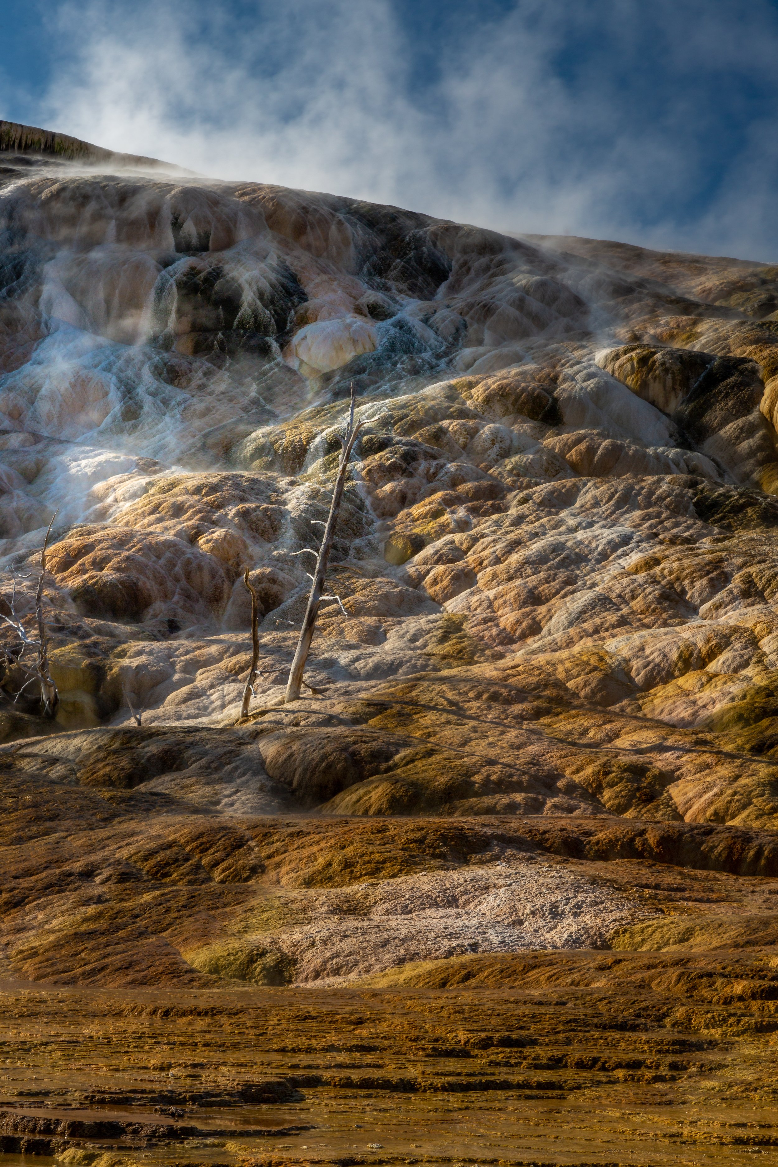 Mammoth Hot Springs