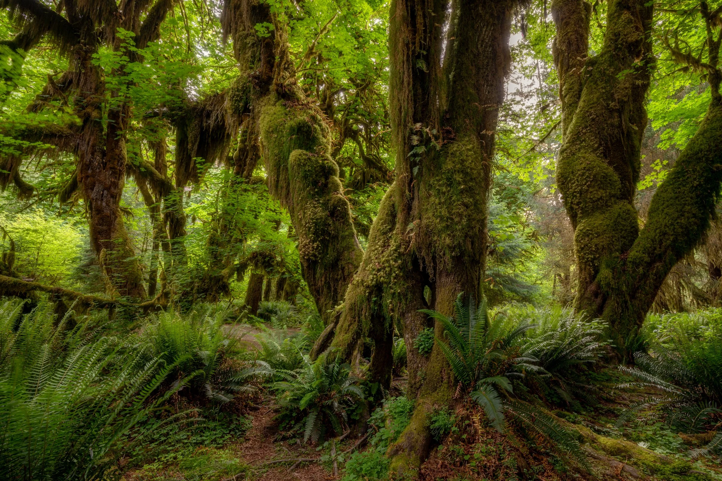 5M7A0025-HDR-Edit.jpg
