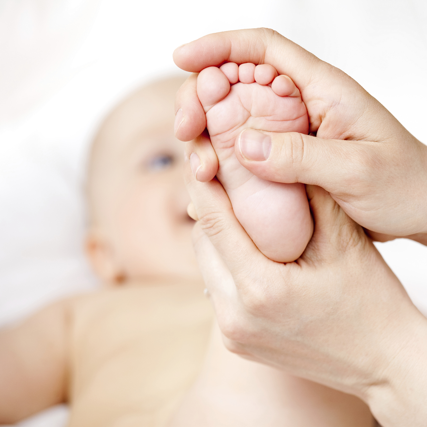 iStock_000009248633_Large.jpg