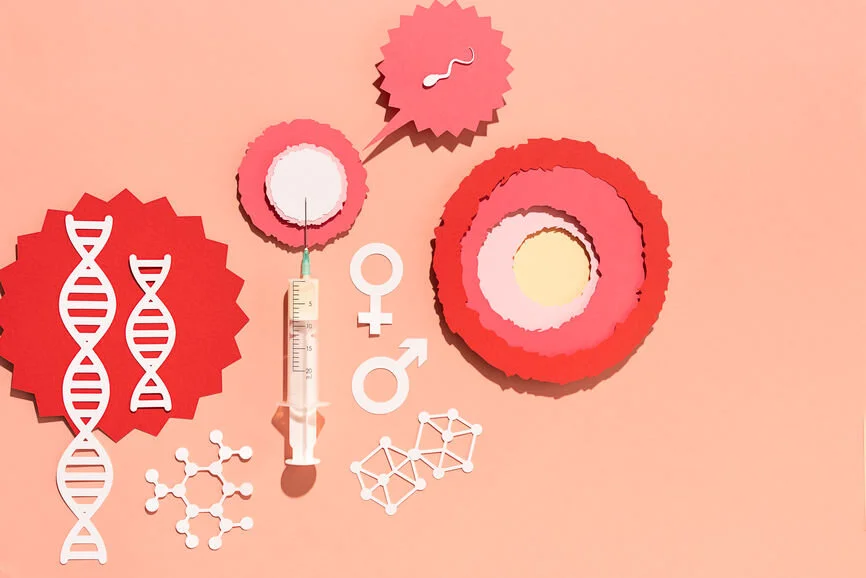 IVF DNA Stocksy .jpg