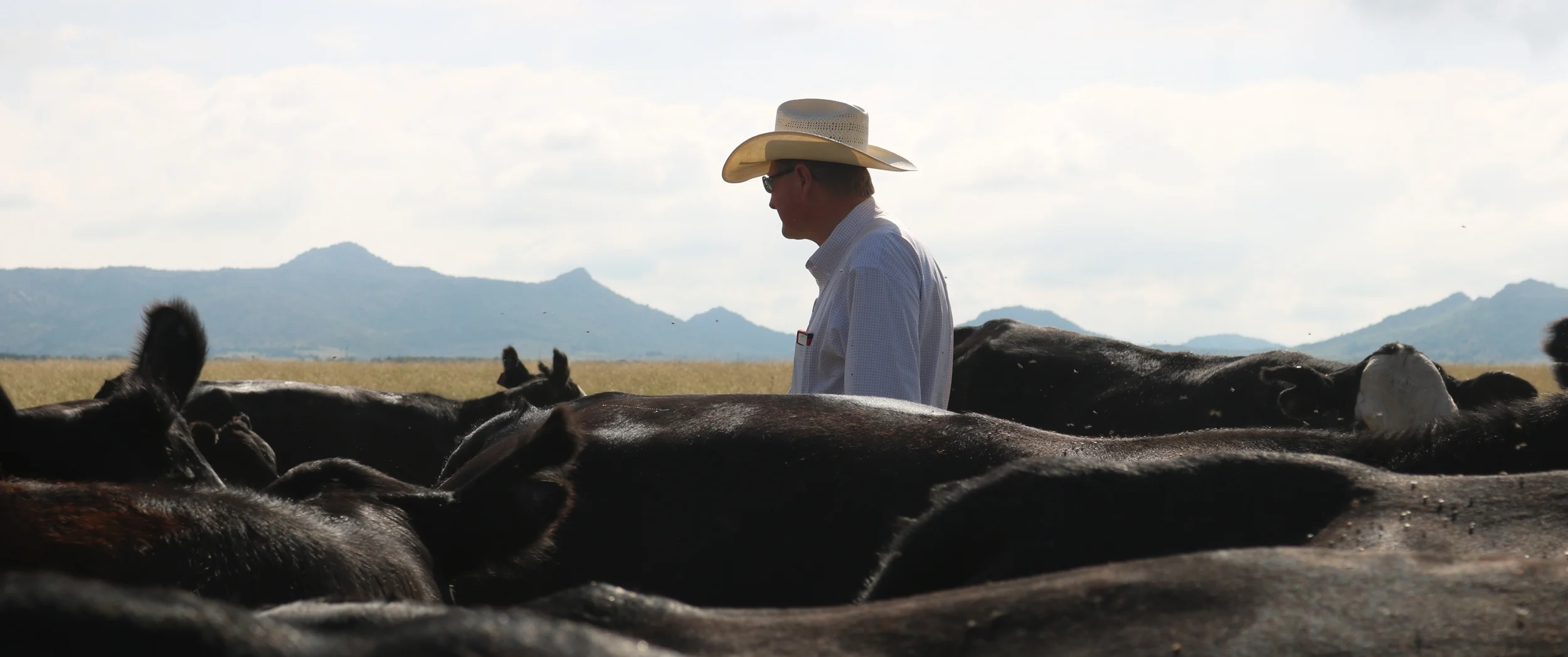 Oklahoma-Beef-Checkoff_9519.jpg