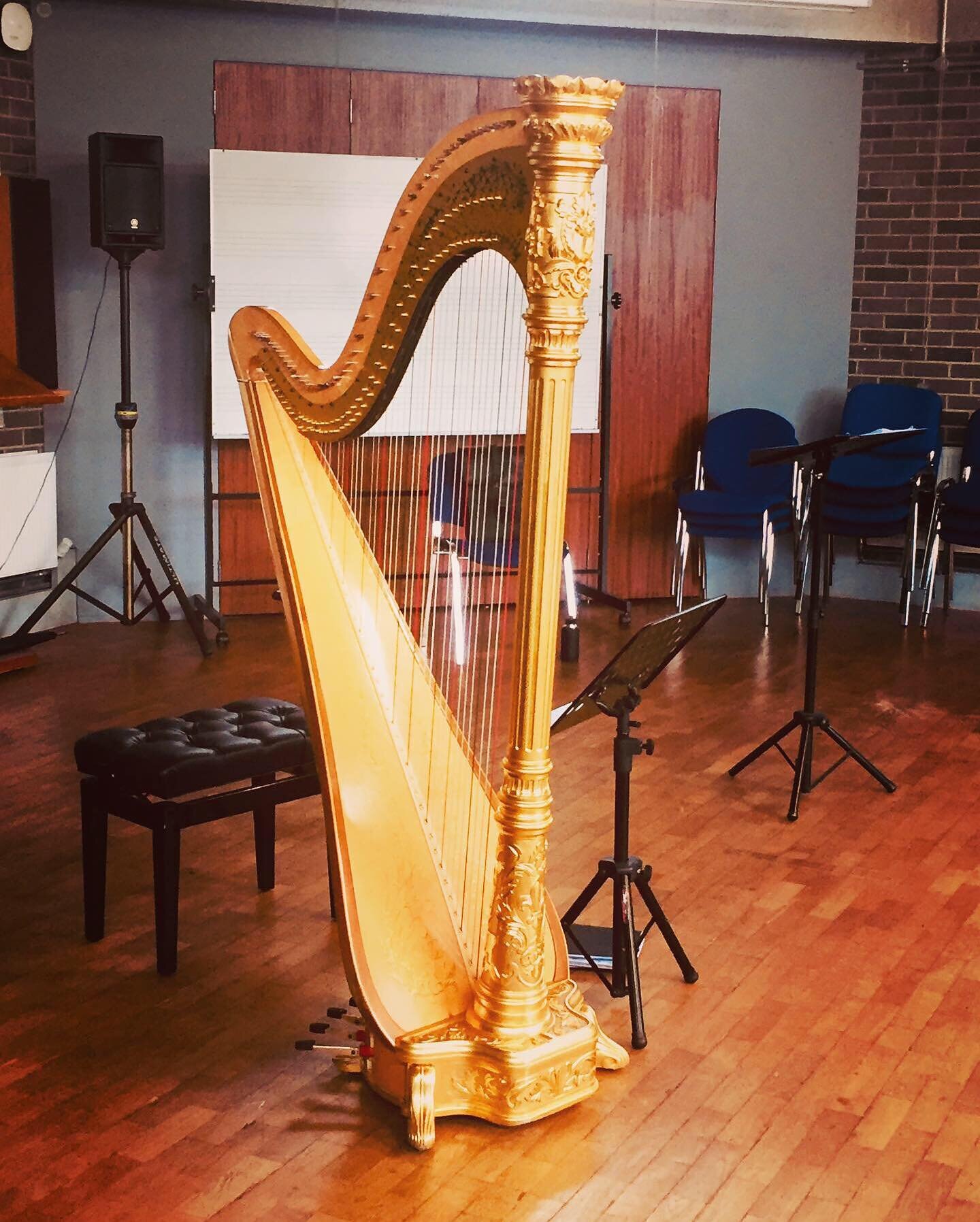 Wednesday&rsquo;s Lunchtime Recital @dublincityuniversity was so much fun. A wonderful and receptive audience😊

My sincere thanks to Harpist Teresa O&rsquo;Donnell. A joy to work and perform with😊 looking forward to many more future performances to