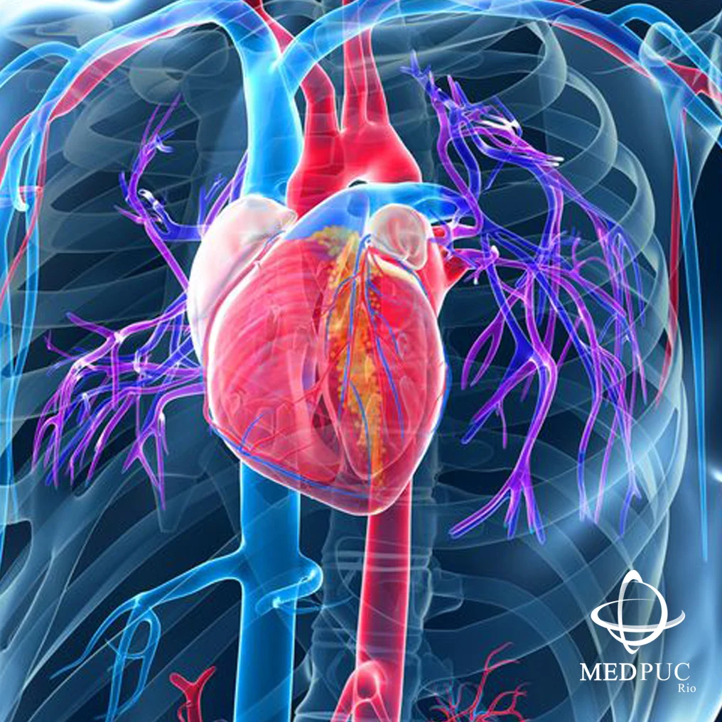 Circurgia_Cardiovascular.jpg
