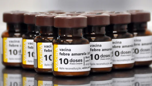 febre amarela 2.jpg