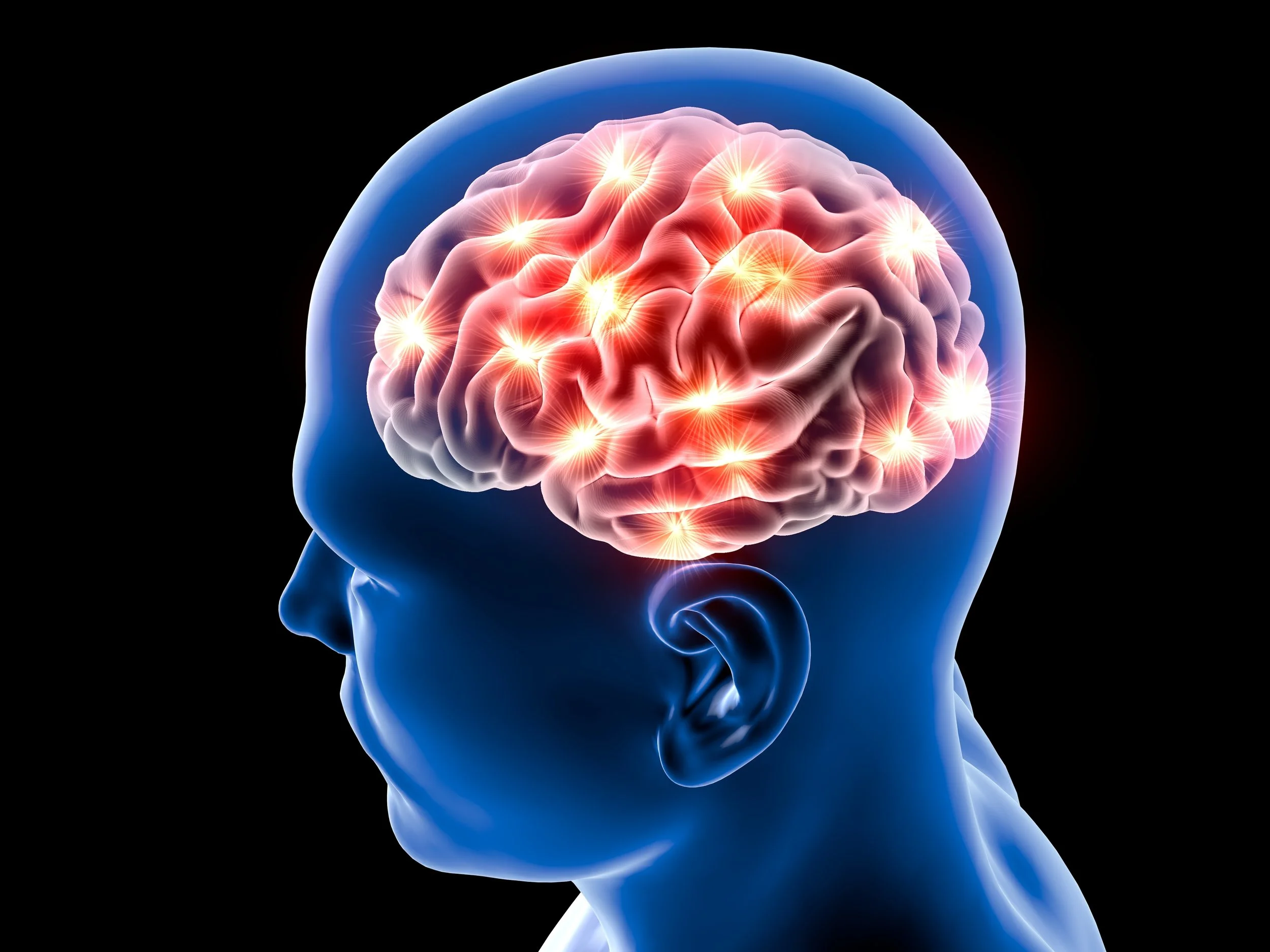 shutterstock_305175476.jpg