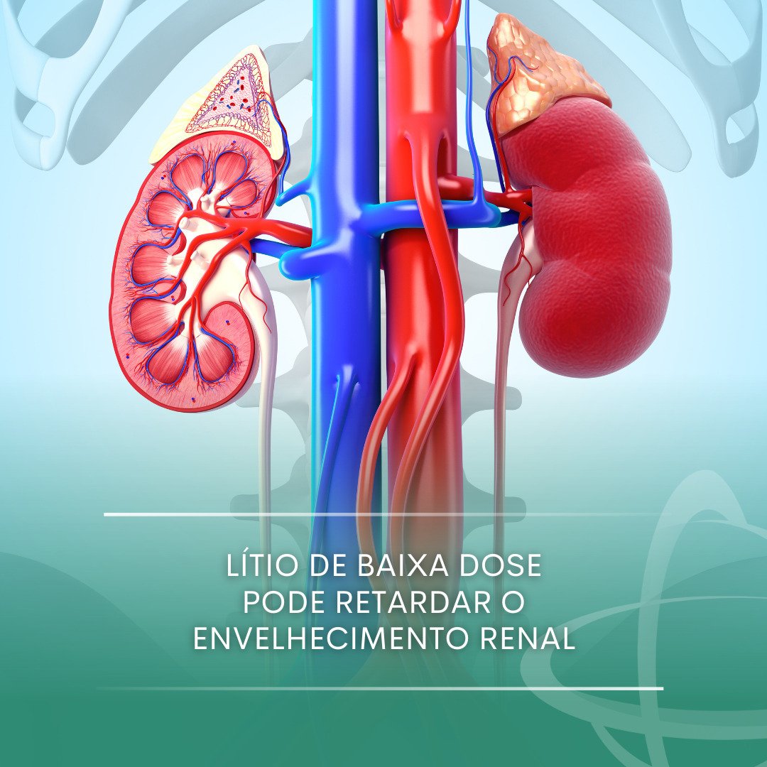 Lítio de baixa dose pode retardar o envelhecimento renal