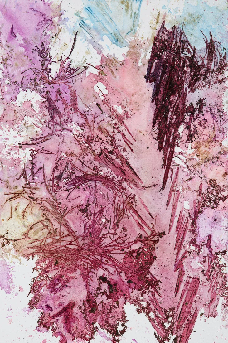 Spectrum 17