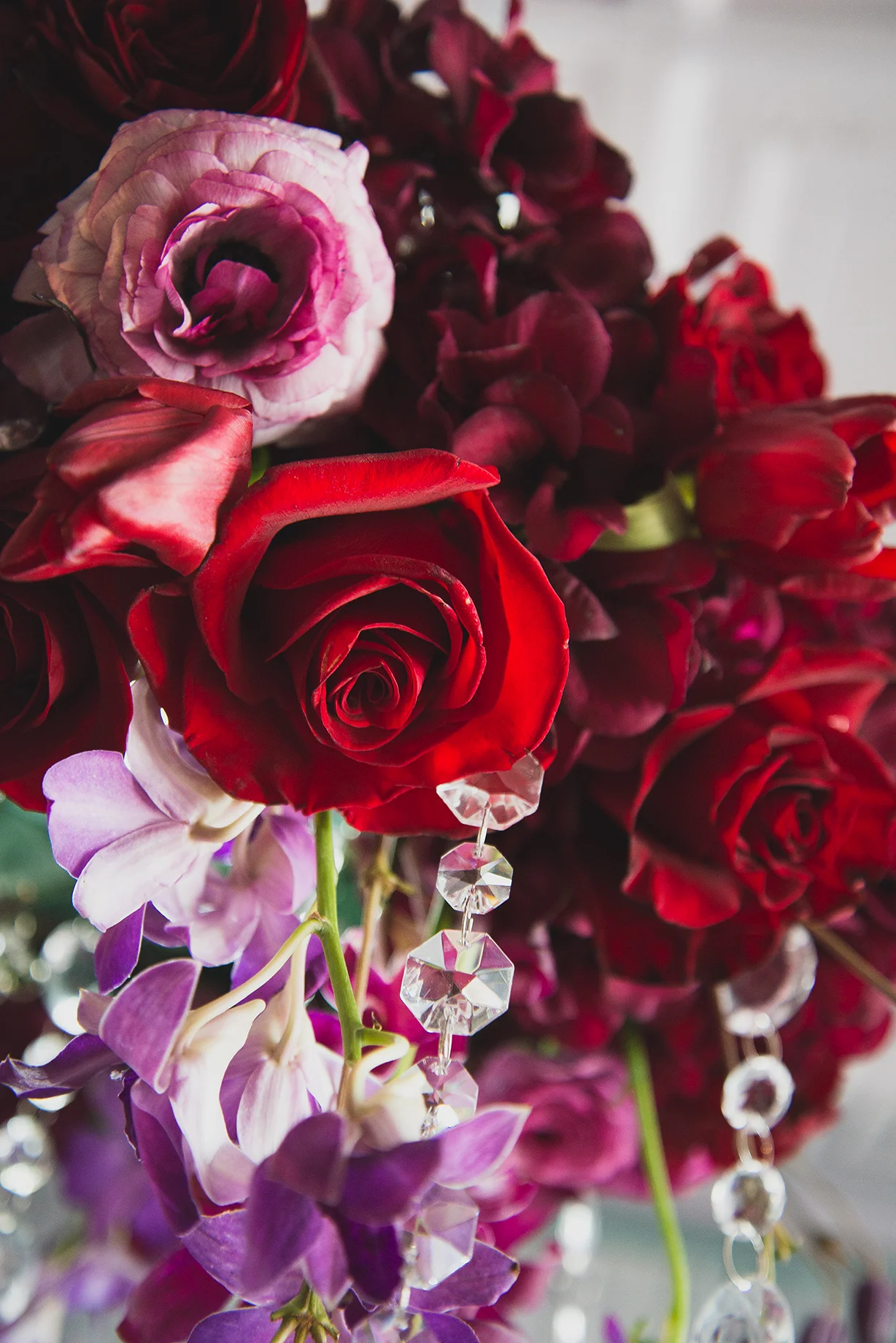 20150322-TLP_2043_Sm.jpg