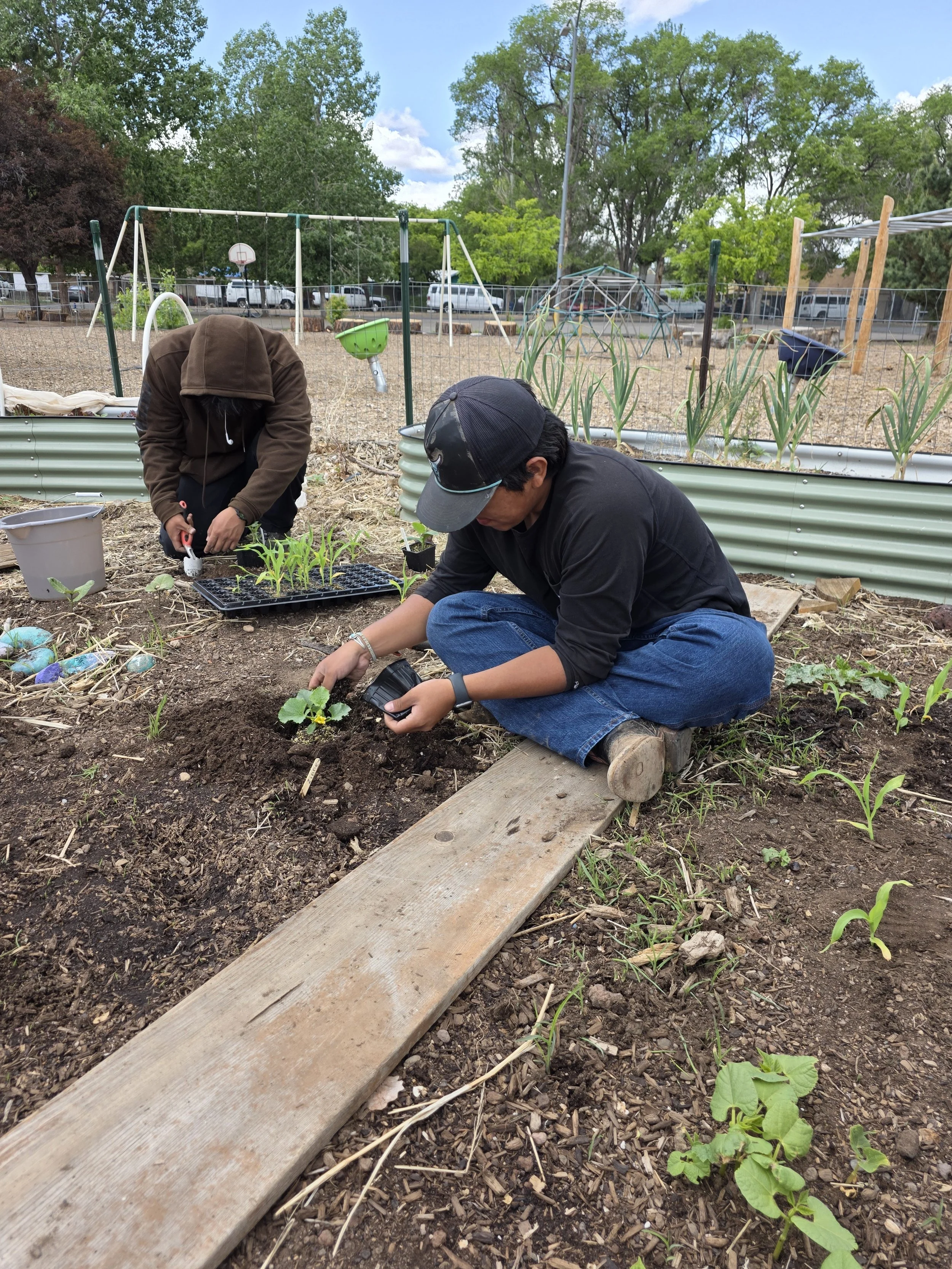 20250605_101451 (2).jpg