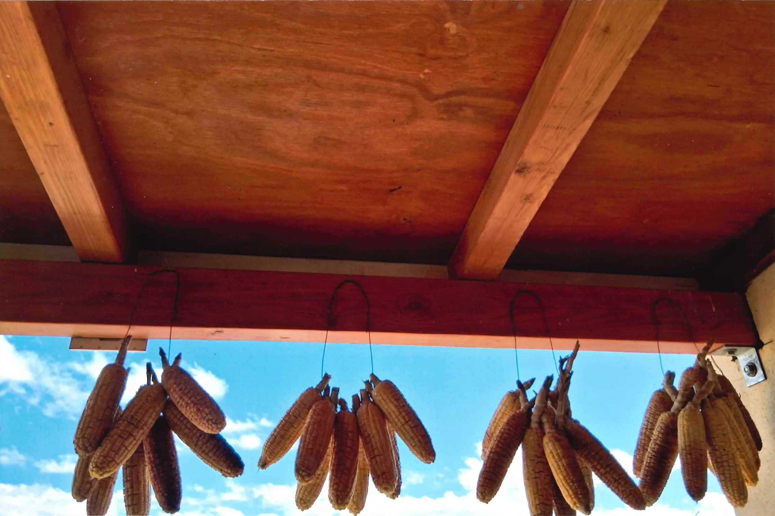 Photo9_Sweet corn drying on porch.jpeg
