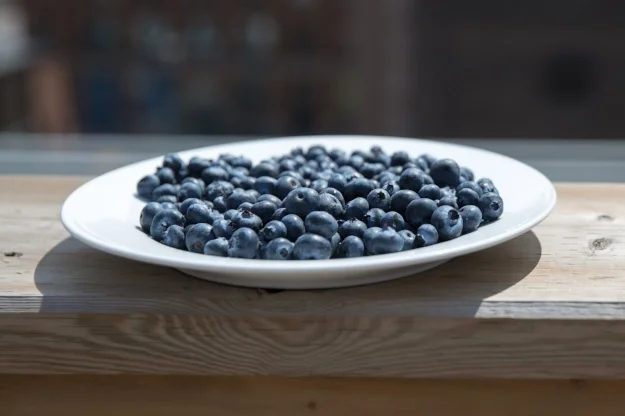 blueberry-plate-on-patio_4460x4460.jpg