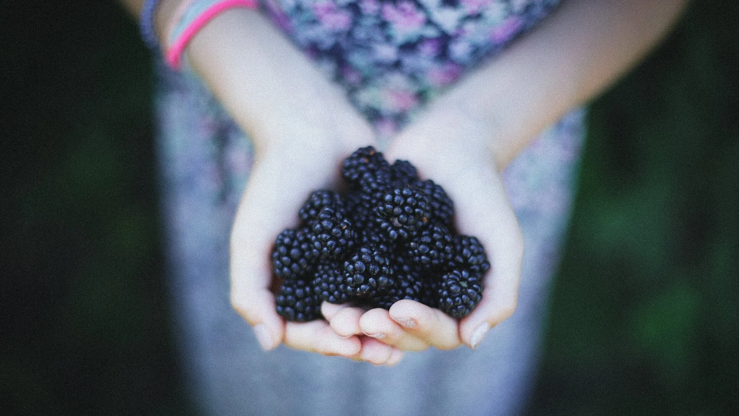 Berries - Brain Health Superstars — Lisa Health Blog