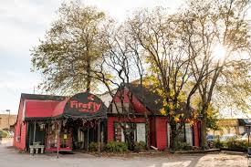 firefly.jpeg