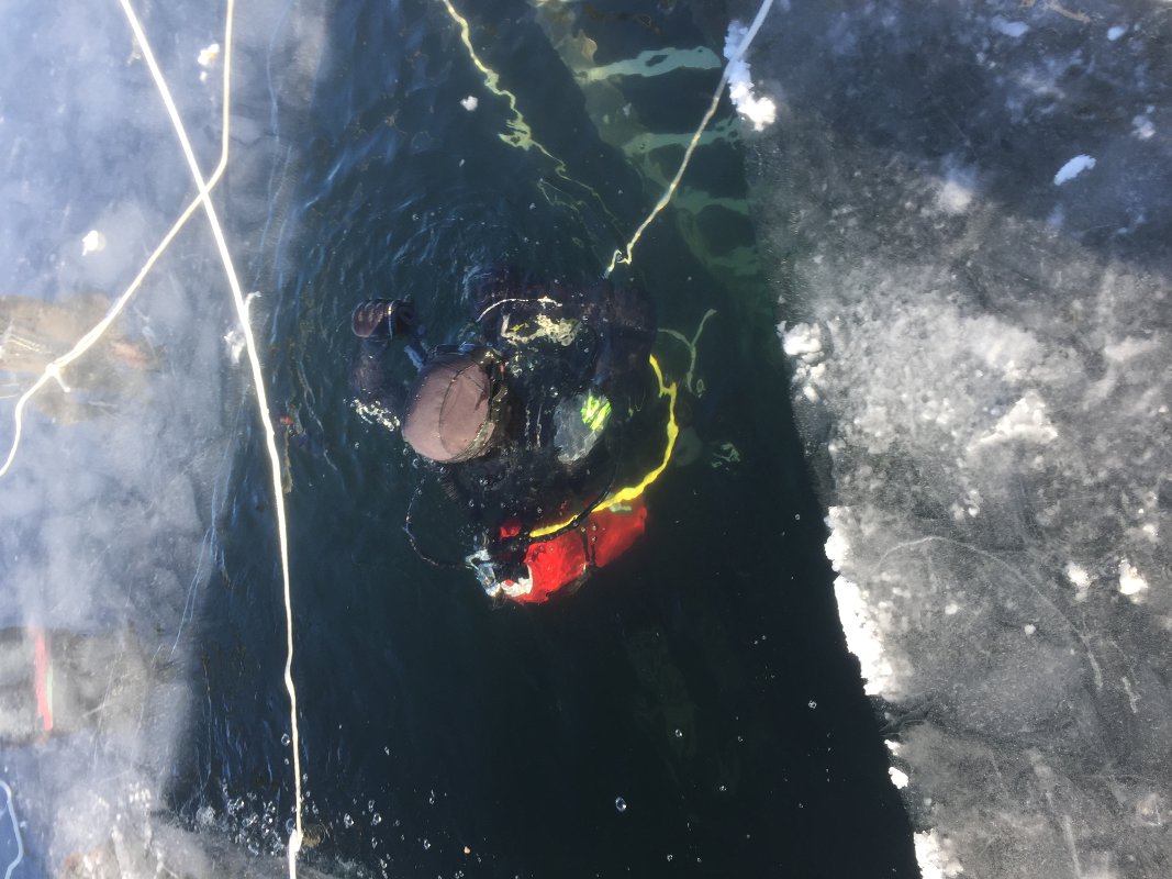 ice_diver_in_hole.jpg