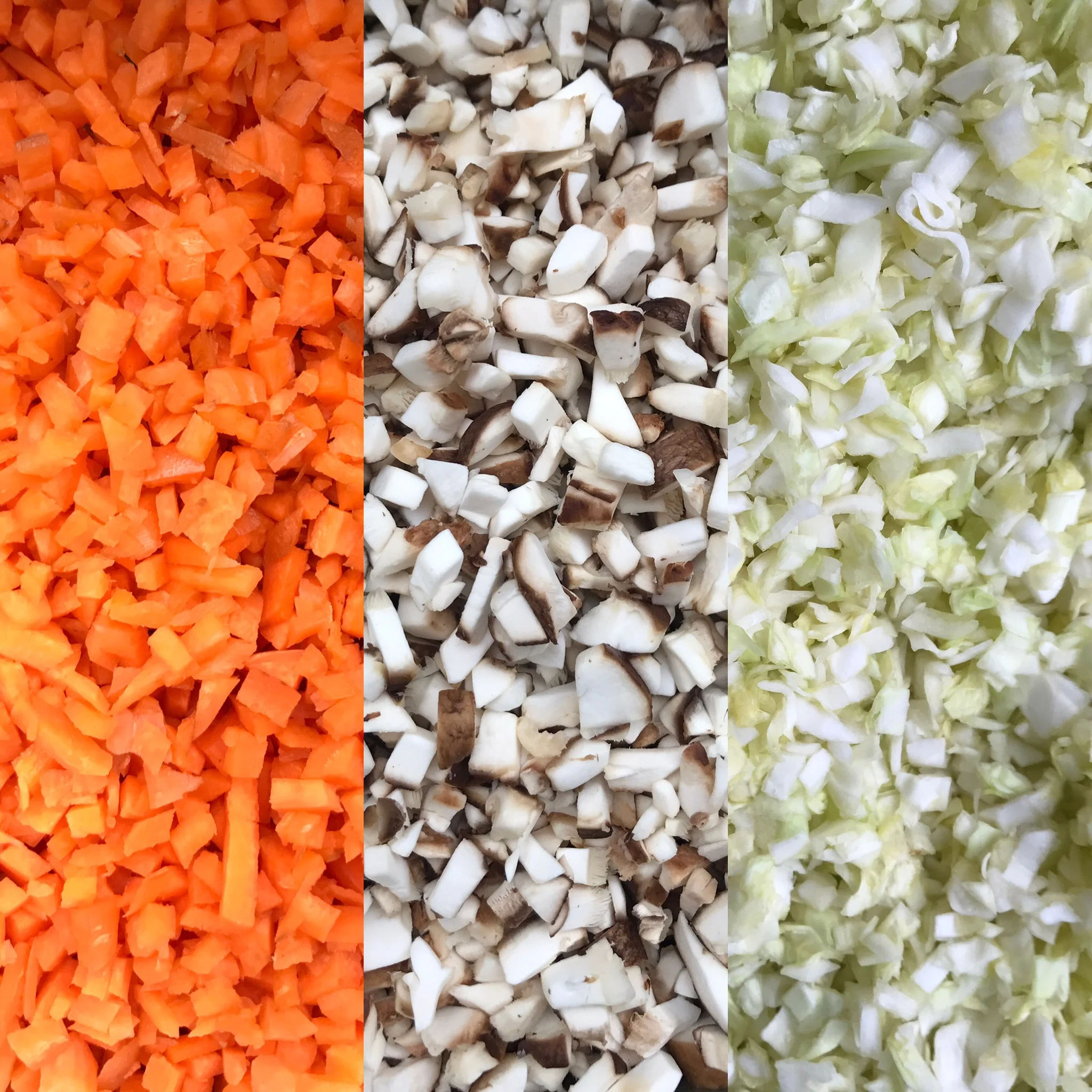 Look at these gorgeous veggies! This is level of finely chop that should be achieved!
