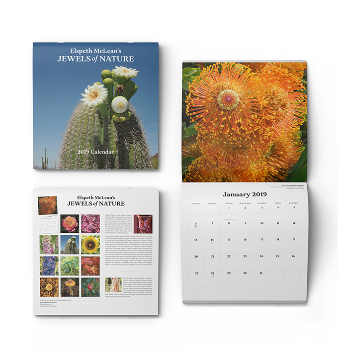 JoN_kickstarter_calendar_680.jpg