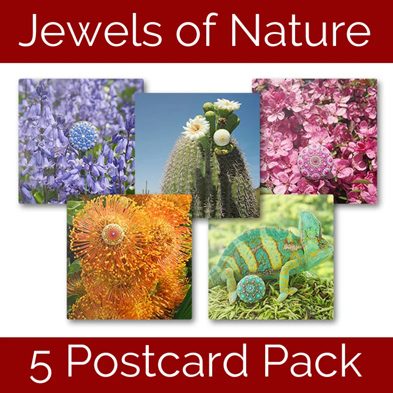 Postcard 5 Pack- Jewels of Nature
