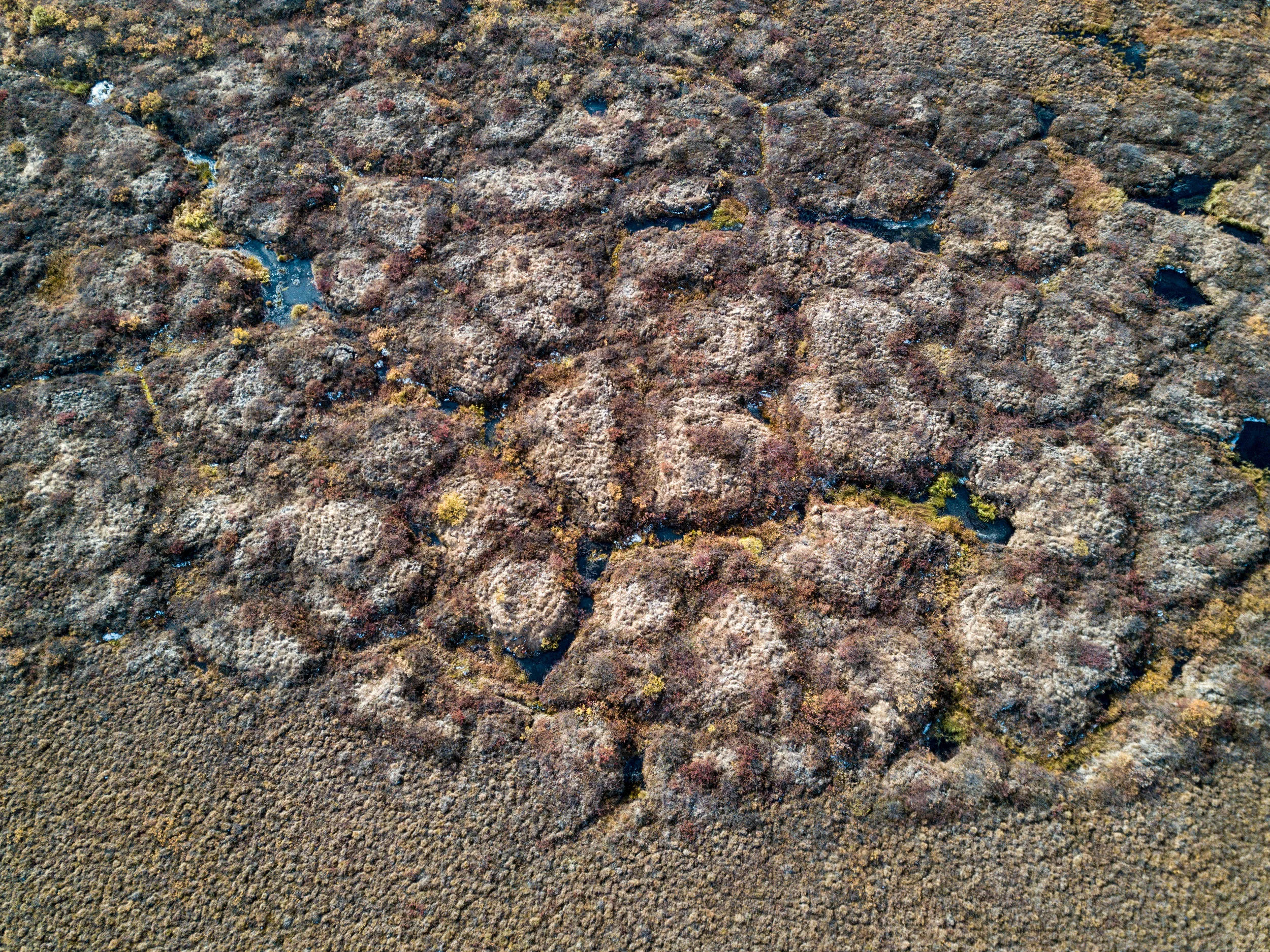 The Dempster Highway to Tuktoyaktuk (Tuk) — On The Way To Nowhere