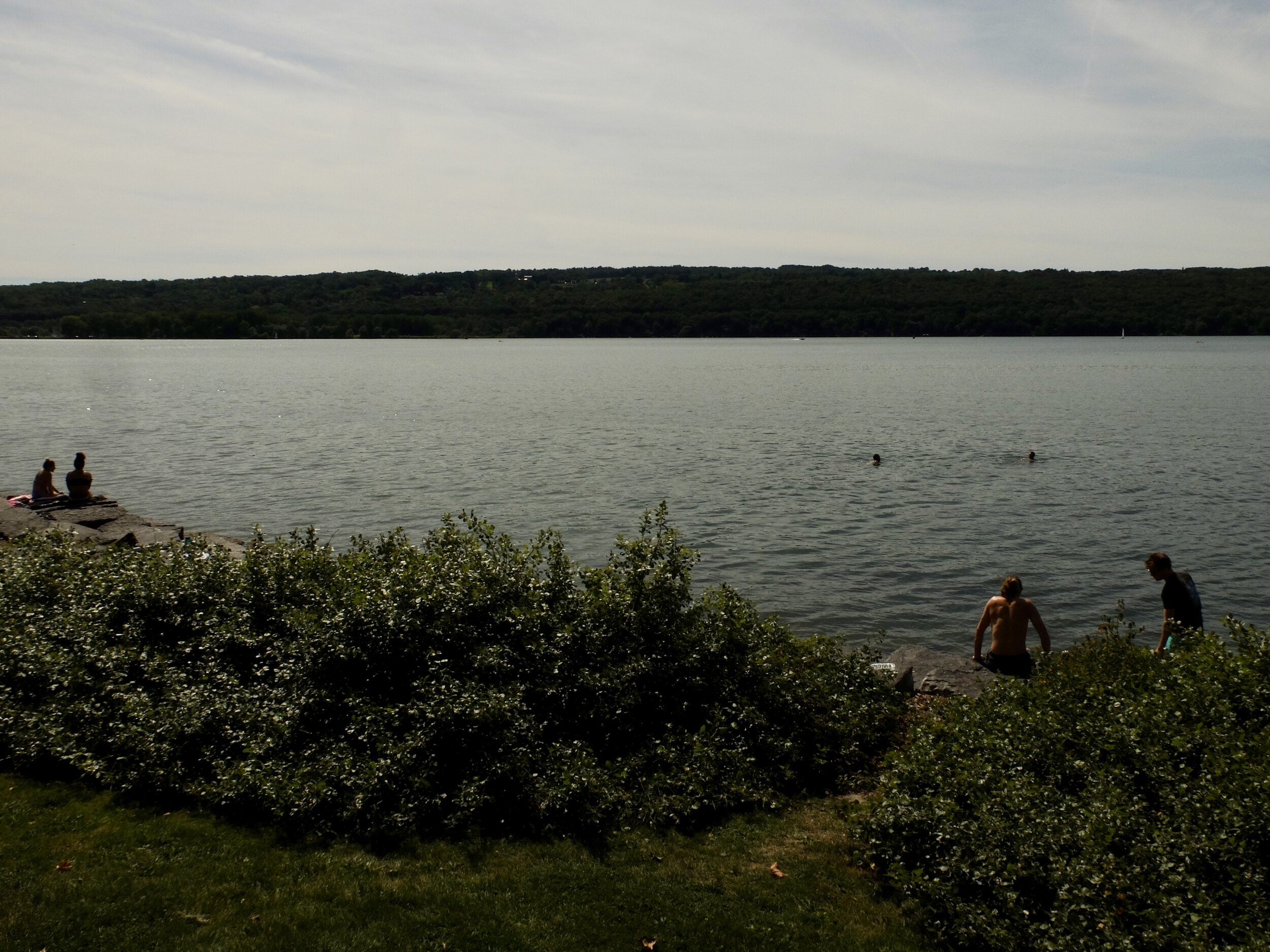 The sign in the Cornell U. park definitely said "No Swimming."