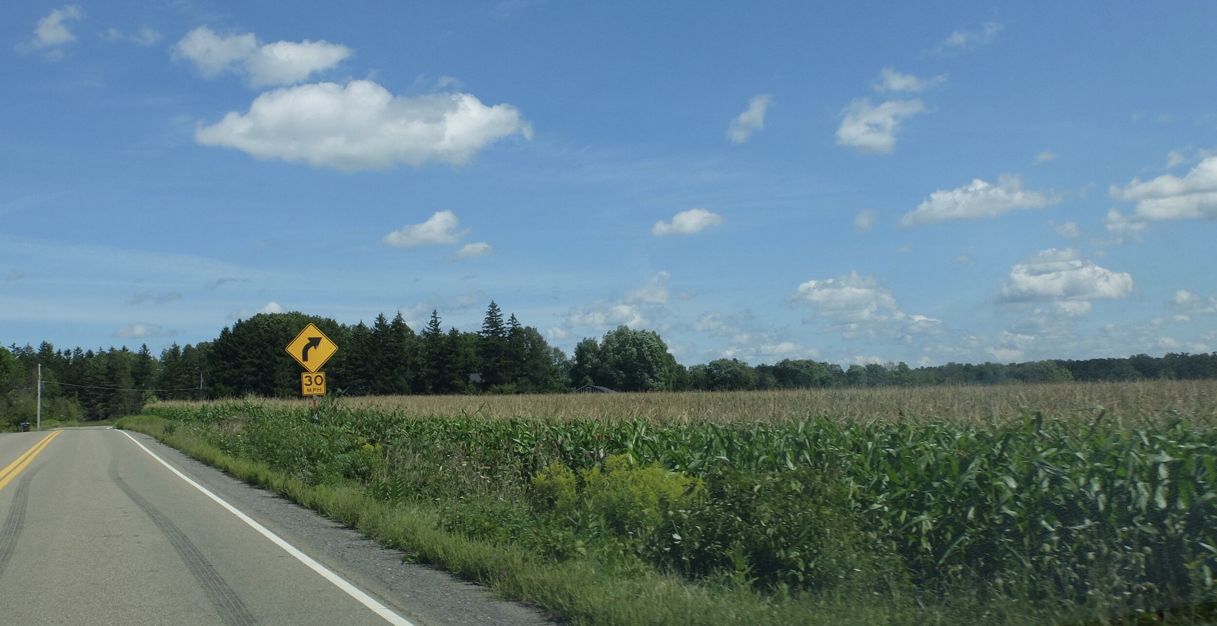 I just loved motoring down these roads.  Wished that I was driving the MG here or riding my Rivendell.