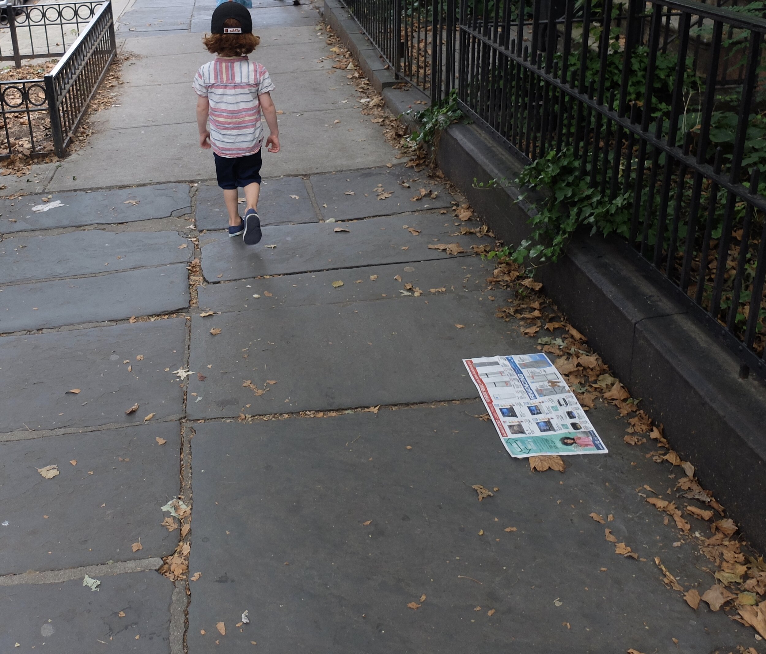 Likely Phoenicia bluestone Brooklyn sidewalk.