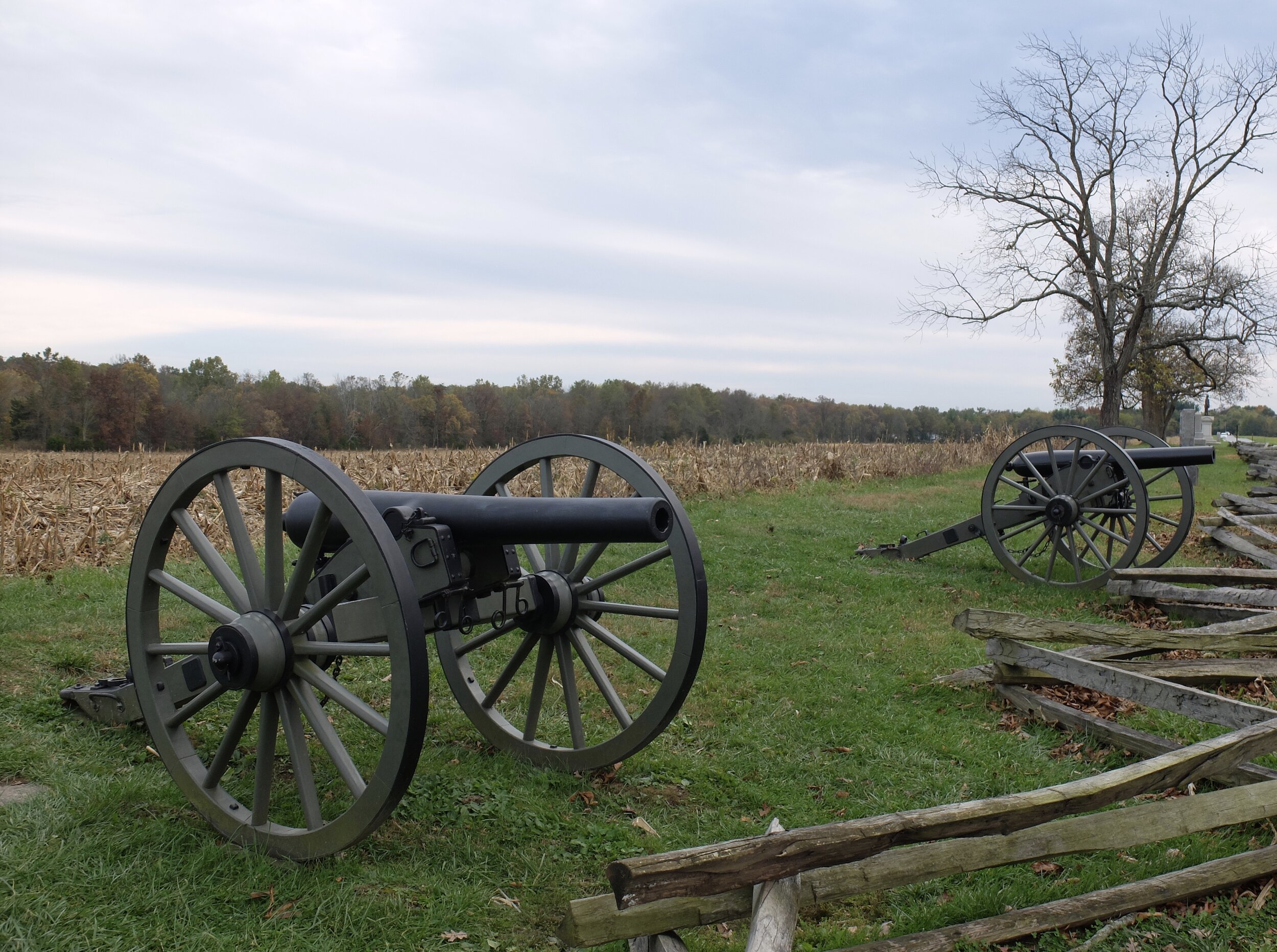 These were easier fences that the soldiers encountered than the style seen in the next photo.