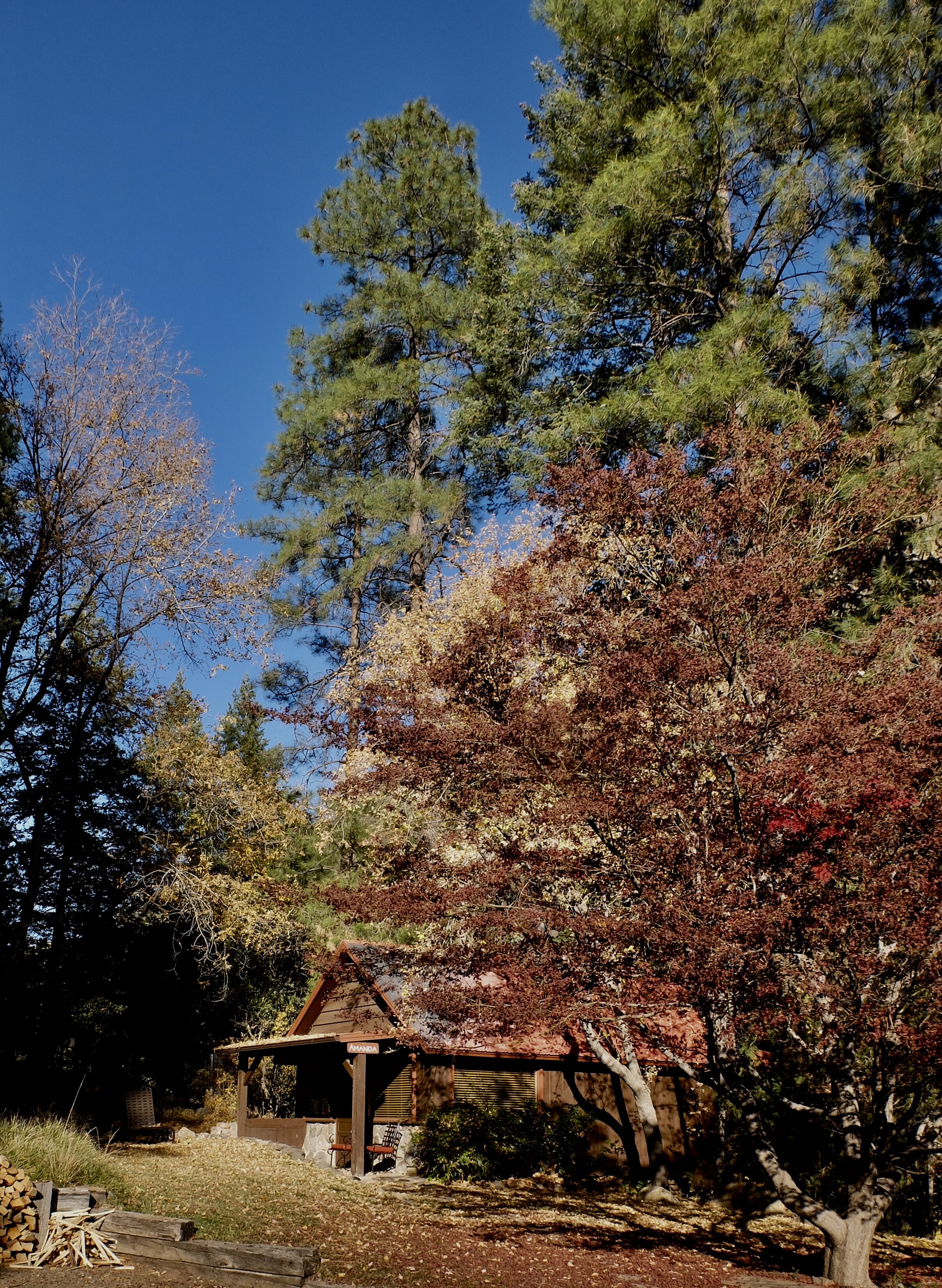 Orchard Canyon on Oak Creek - Our cabin.