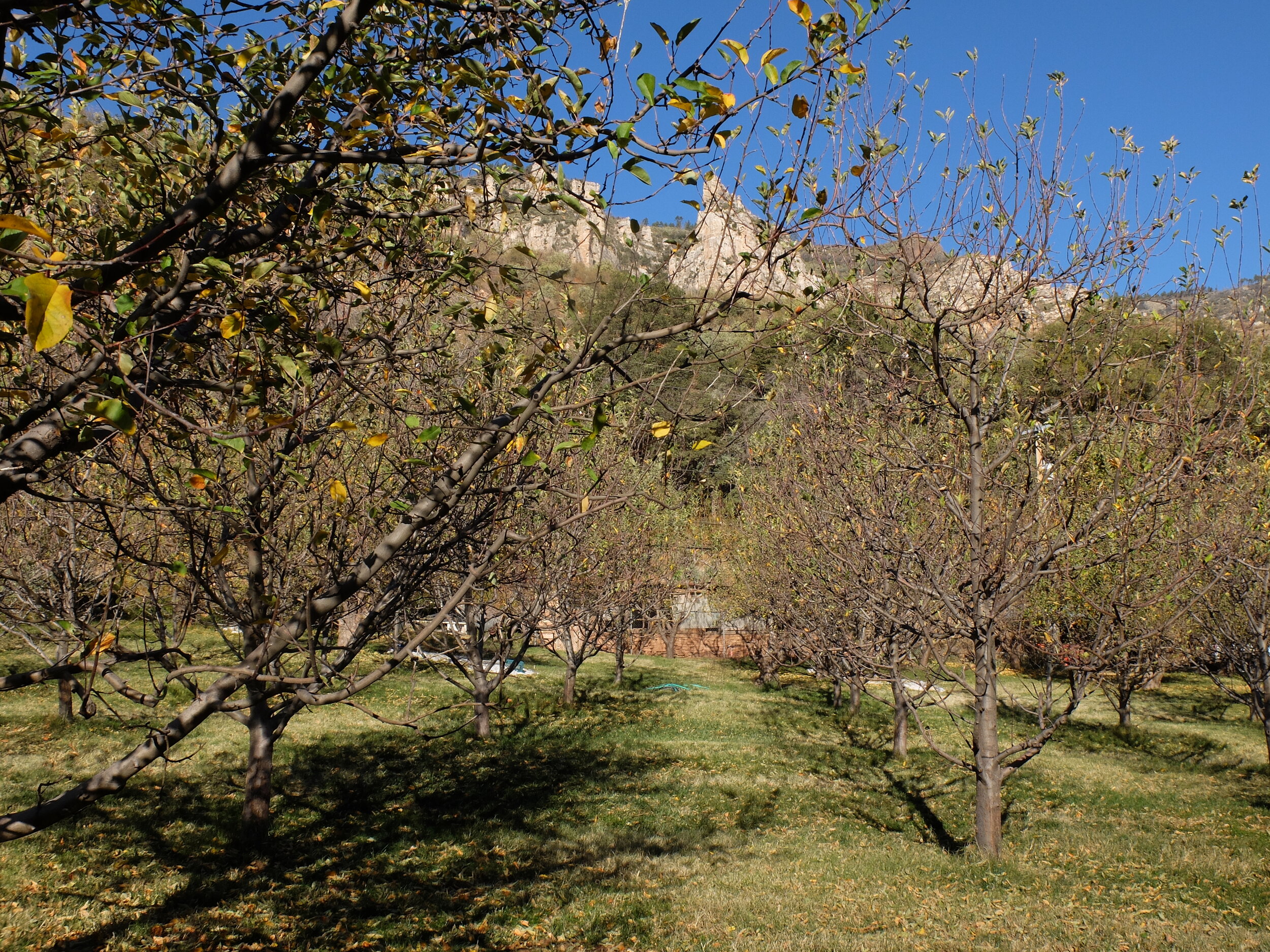 Orchard Canyon on Oak Creek - One of the apple orchards.
