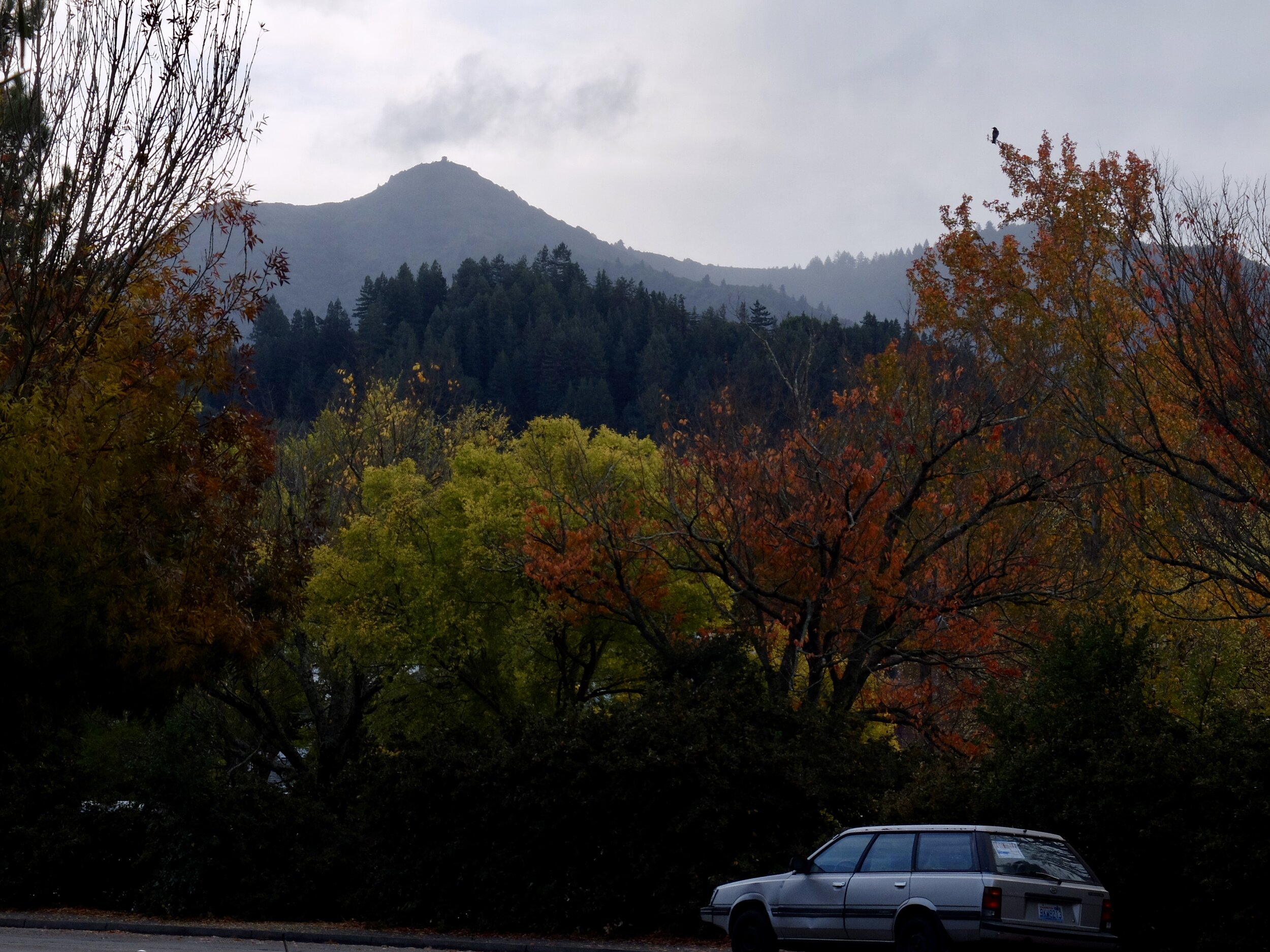 Mt. Tamalpais.