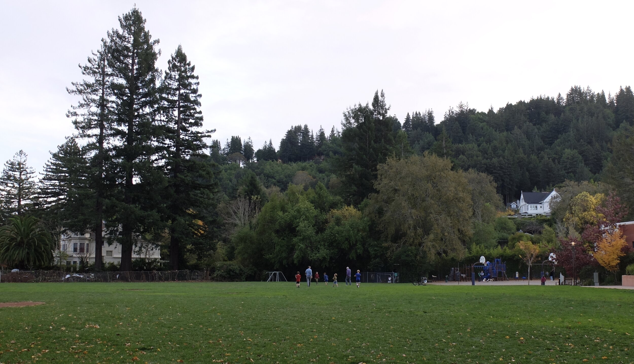 The white house on the left was in the movie "Jack."  One day I watched Coppola direct for a while.  Then, I biked home along Shady Lane &amp; for a bit, was joined by Robin Williams.