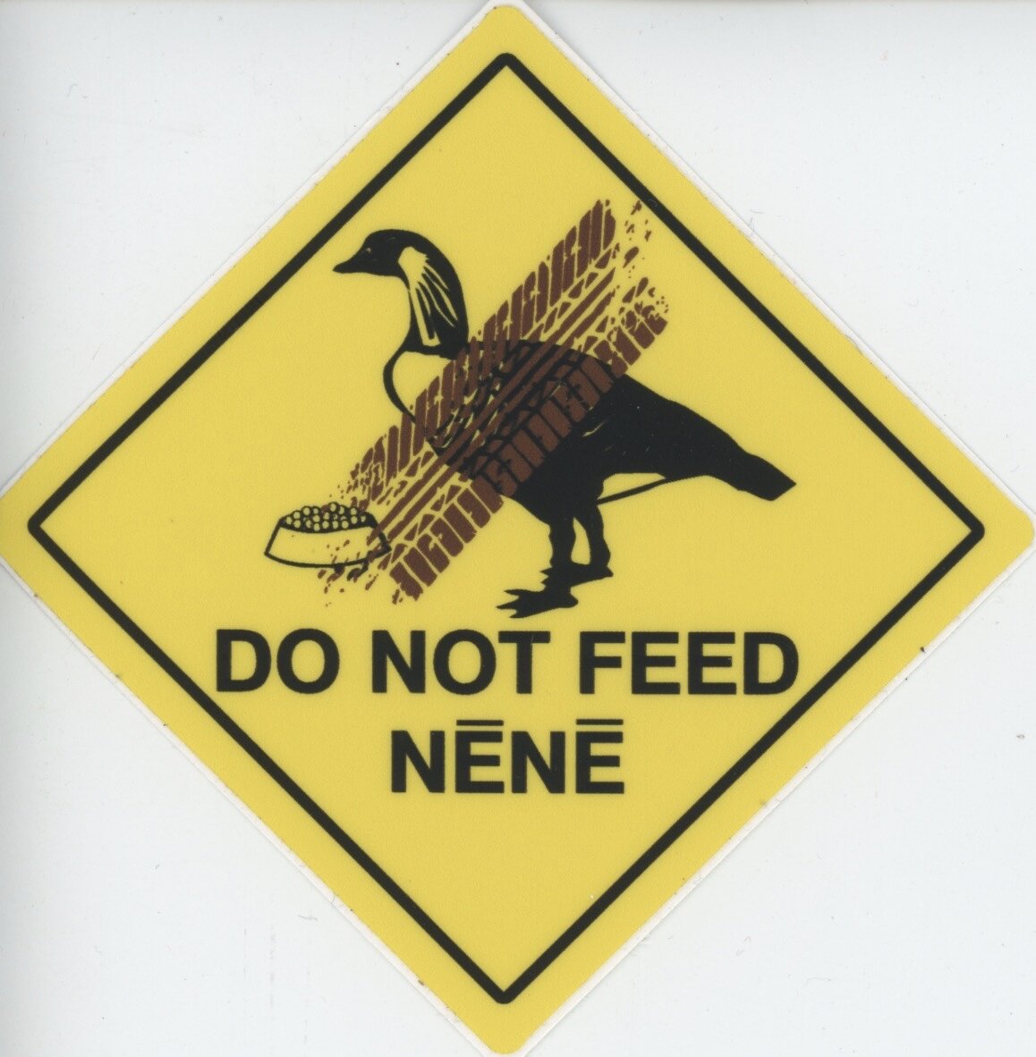 Nēnē or Hawai'ian goose. Official bird of the state of Hawaiʻi.