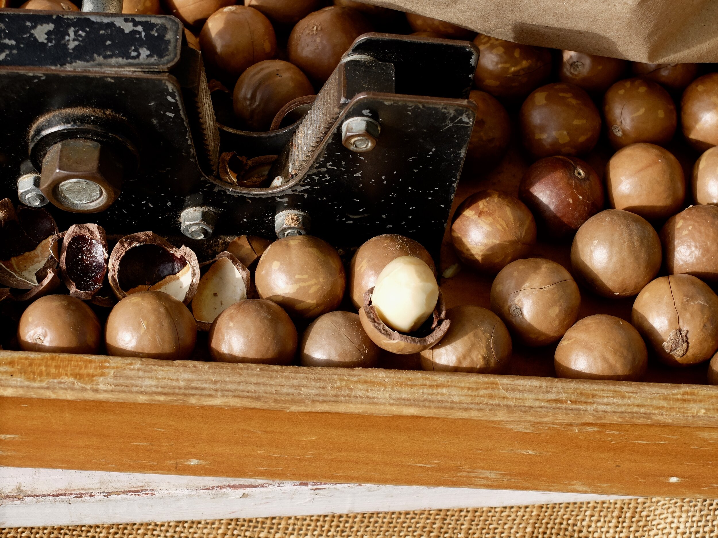 Macademia nuts from Āhualoa Farms.  They made the best prepared nuts &amp; Hamakua Coffee.