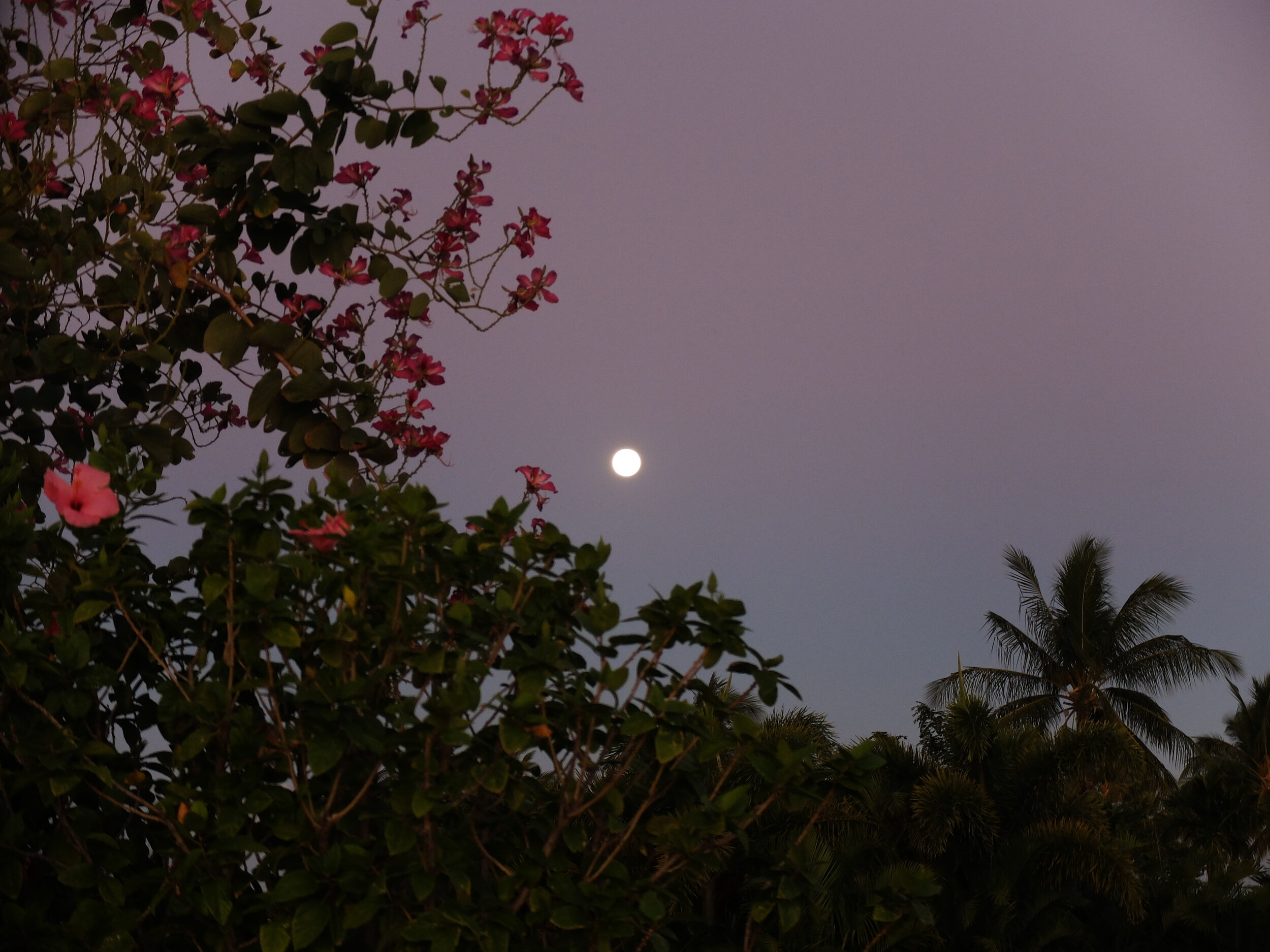 Sunrise &amp; full moonset, Hualālai between 6:50 AM &amp; 9:00 AM as we departed in the rainy mist. 