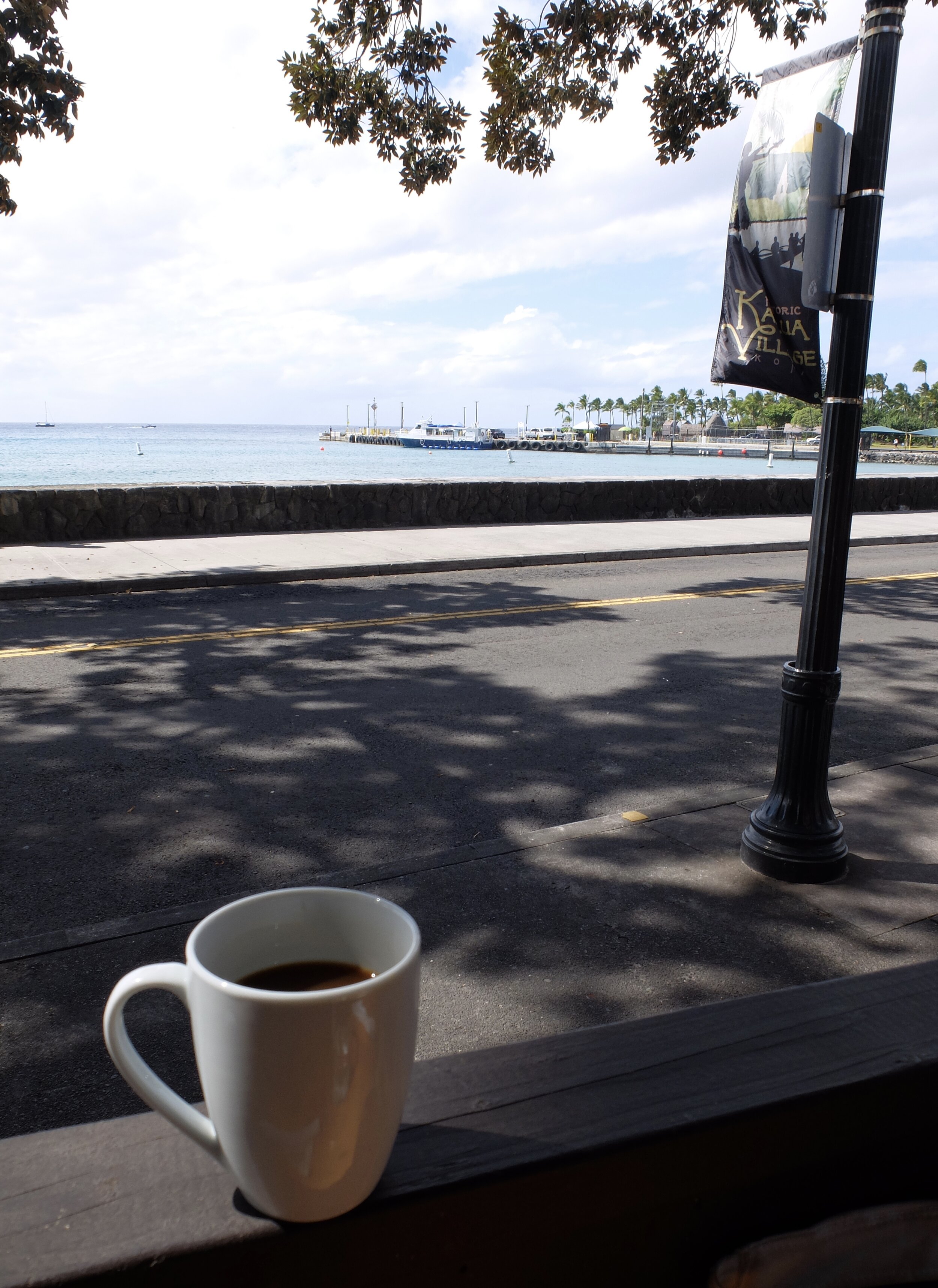 Kona coffee in Kailua Kona overlooking Kailua Bay.