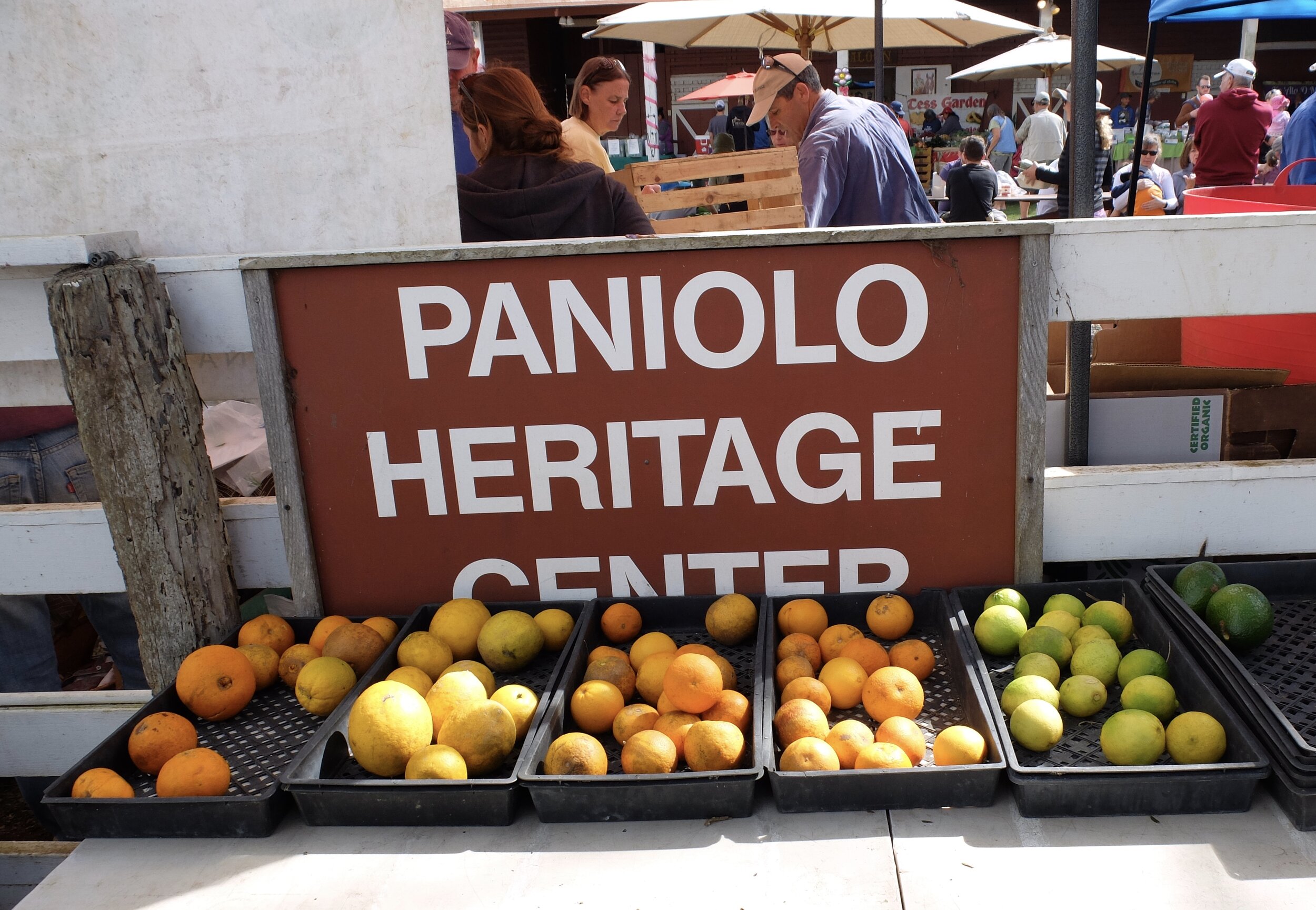 Waikoloa, Pukalani Stable - Farmer's Market