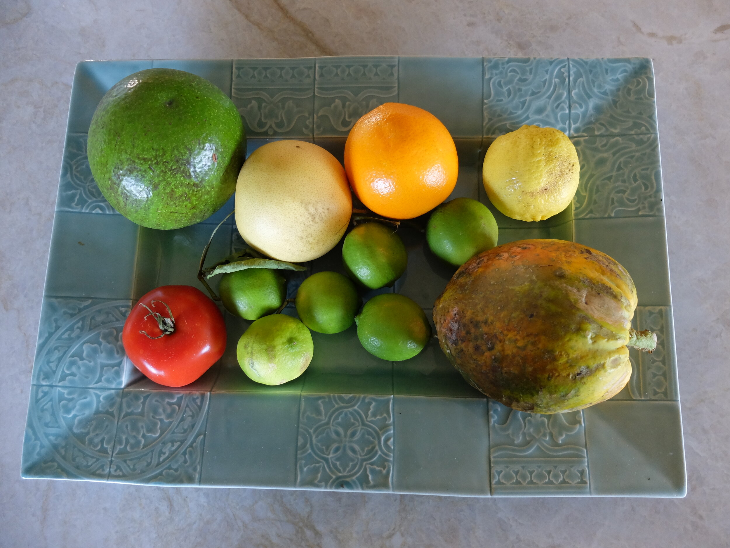 Papaya getting ripe for breakfast.  Grapefruit &amp; limes from backyard.