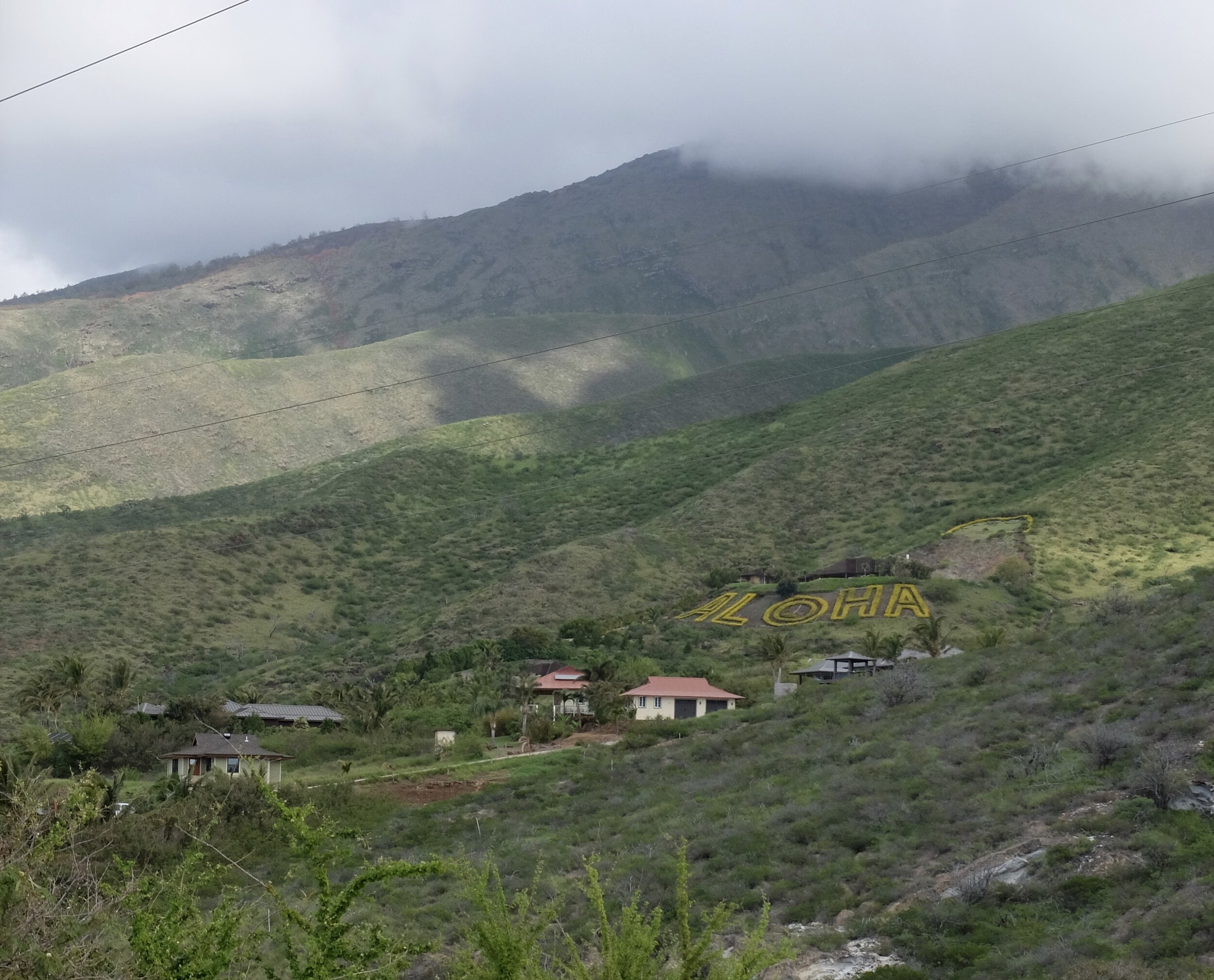 Maui, high above Lahaina.