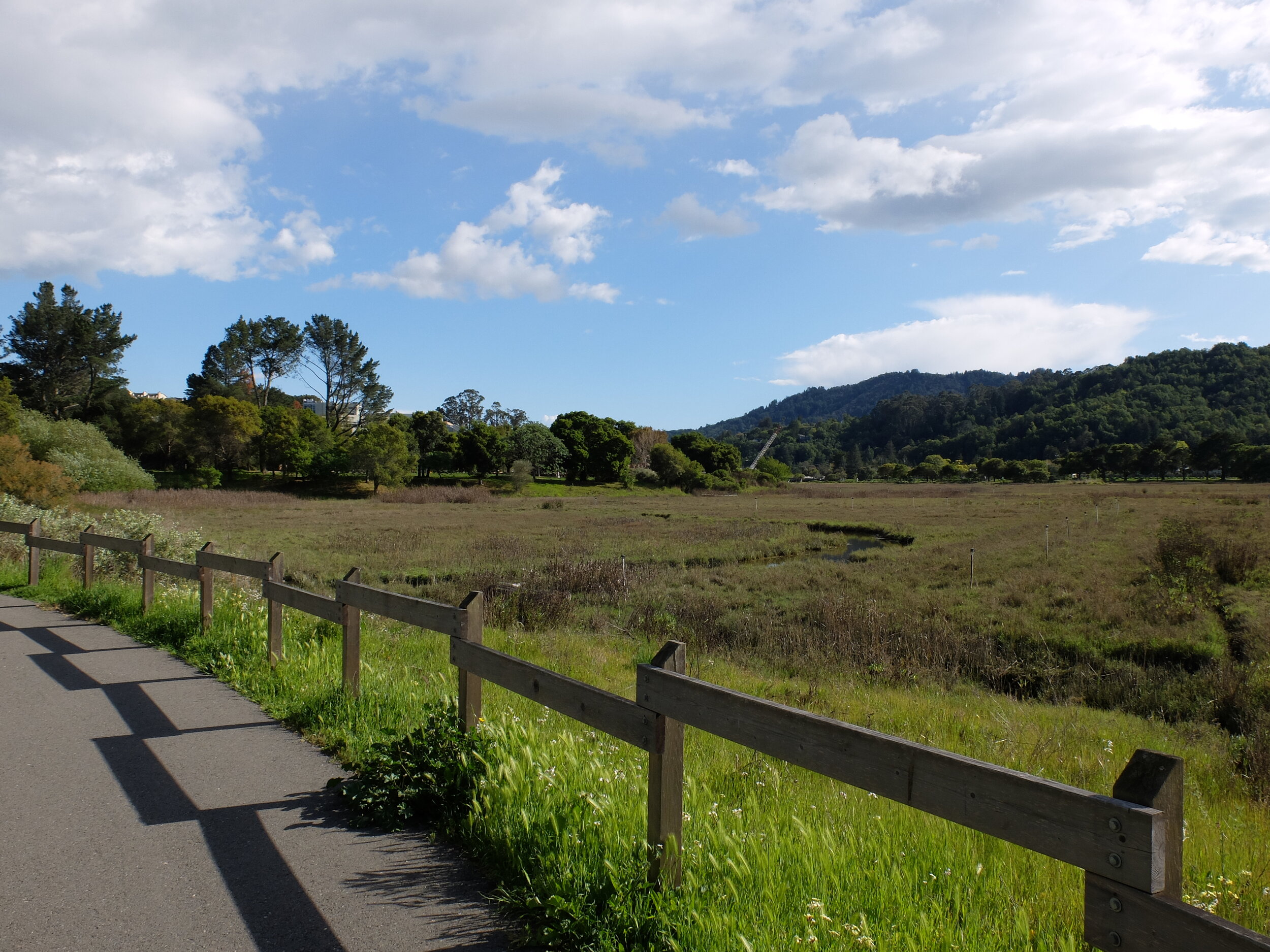 Corte Madera Marsh.  Decades ago there was access to it &amp; I could take the boys bicycling in it.