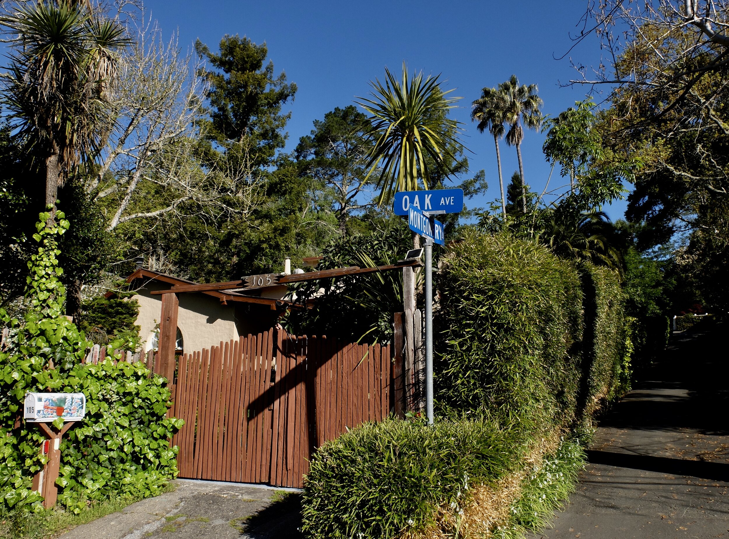 Many of the older homes in this Larkspur neighborhood were summer homes for San Franciscans.
